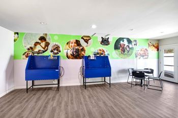 Pet spa